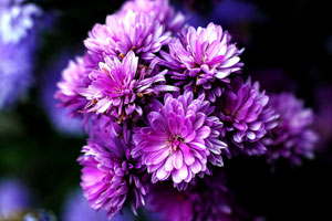 【最新破解补丁】永久激活的在线轰炸电话网页版